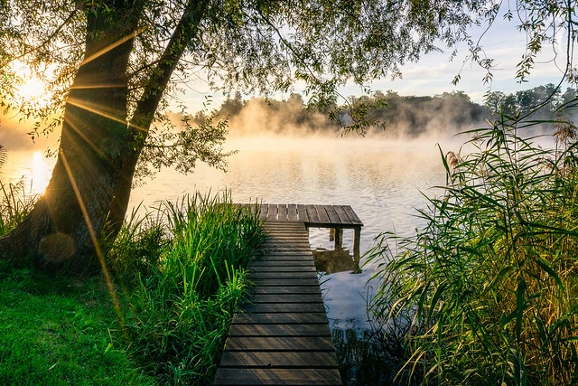 Morning at Wesslinger See