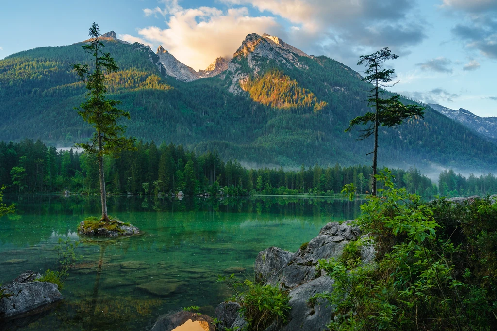Lonely Trees at lake Hintersee during Sunrise