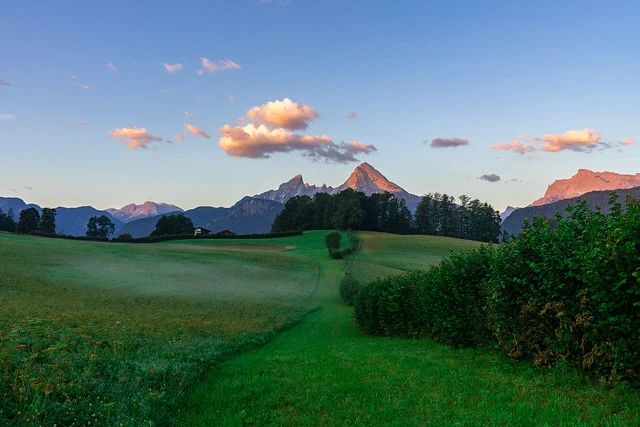 Sunrise over a field with mountain Watzmann