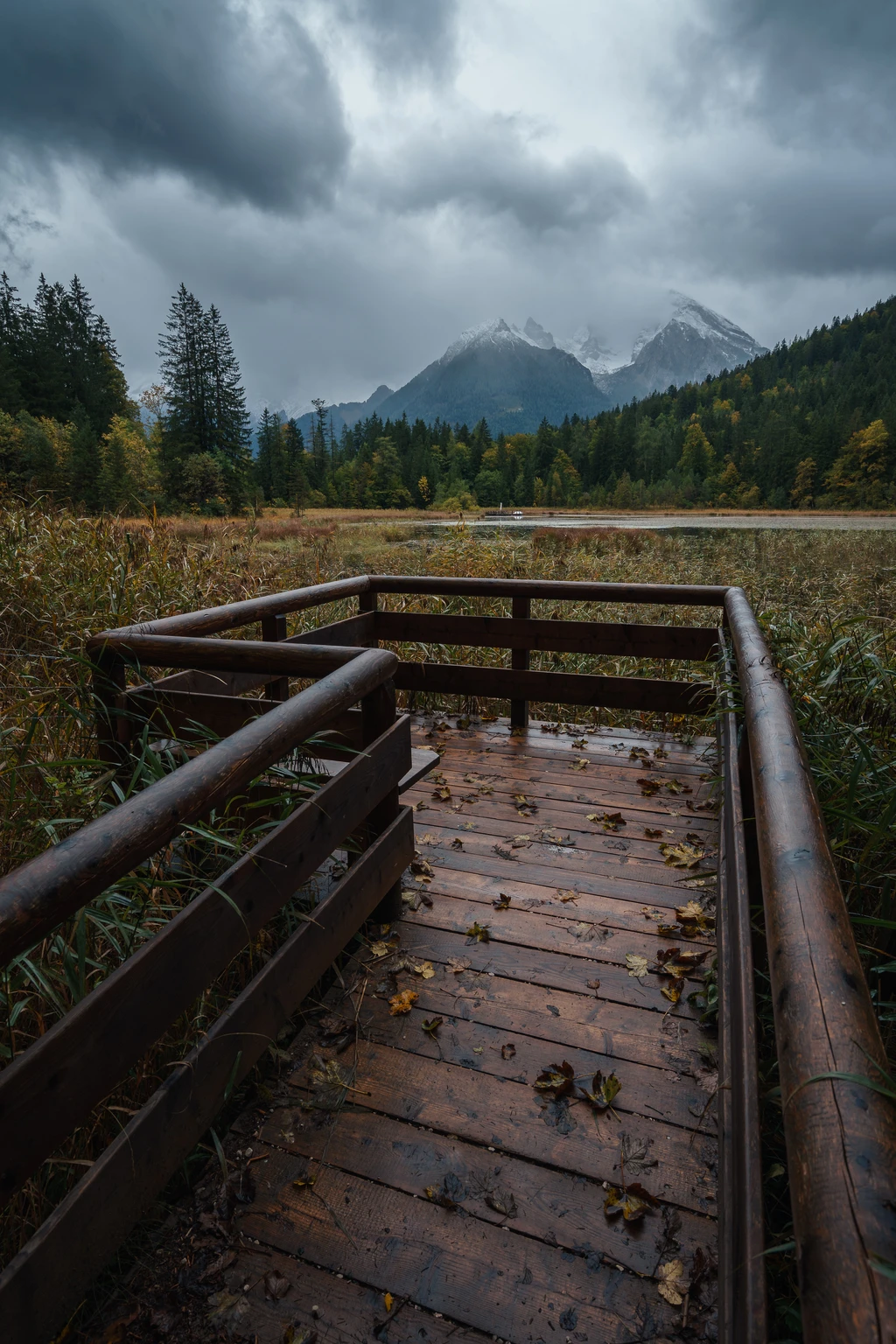 Plank in the middle of Berchtesgaden National Park