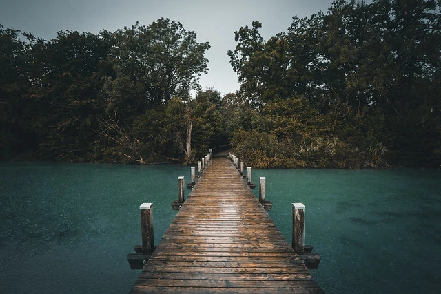 Moody Plank at a rainy day in Bavaria, Germany