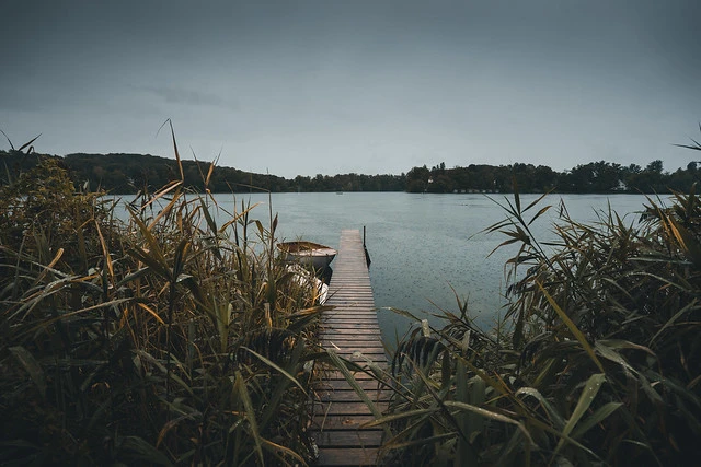 Moody Plank at a rainy day in Bavaria, Germany