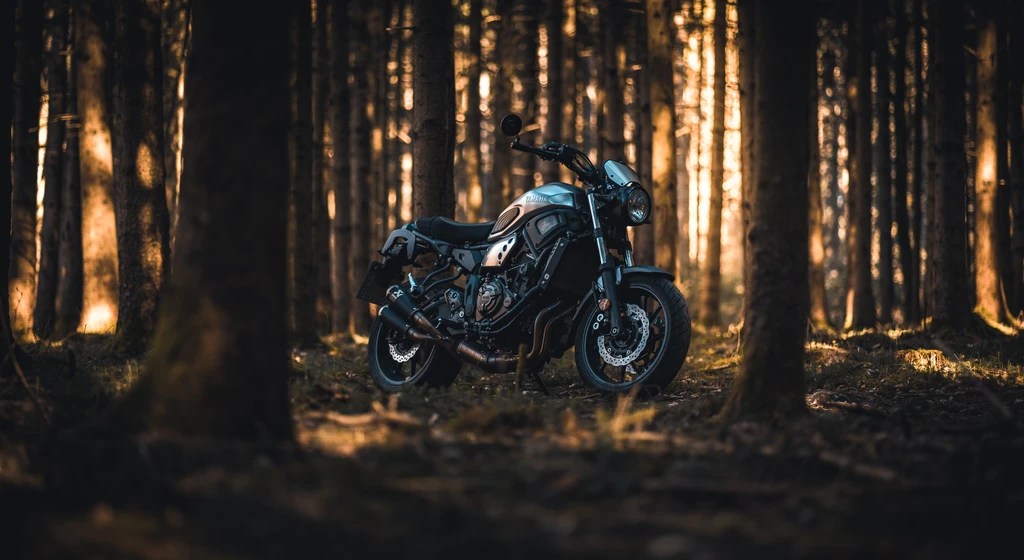 Yamaha XSR 700 in the woods on a autumn evening