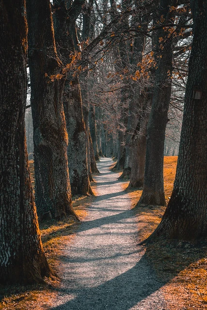 Beautiful walking path in Murnau in autumn light