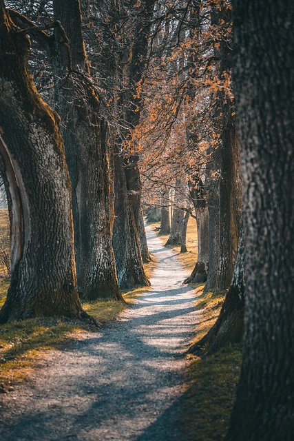 Beautiful walking path in Murnau