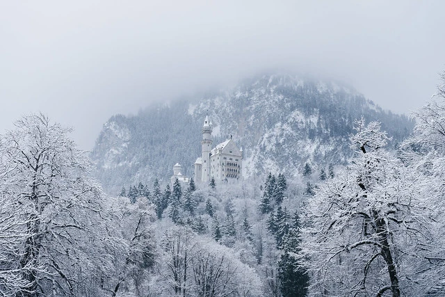 Fairy-Tale Castle in a Winter Wonderland