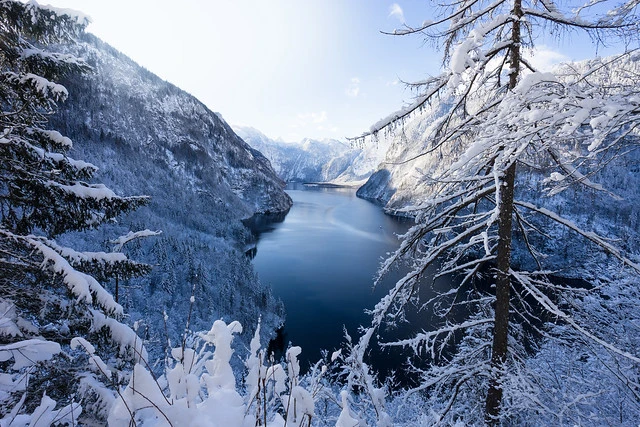 Lake Königssee View