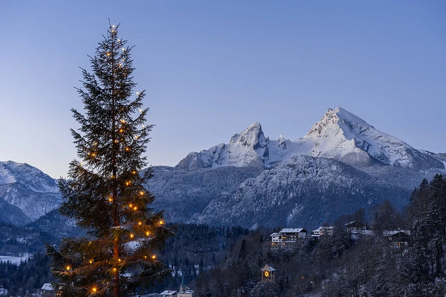 Christmas tree in front of mountain Watzmann